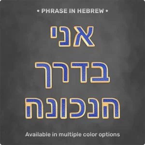 Phrase "אני בדרך הנכונה" from Magnetic Letters