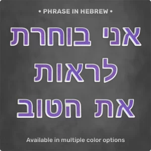 Phrase "אני בוחרת לראות את הטוב" from Magnetic Letters